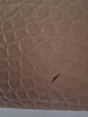 Prada Brown Croc-Embossed Shoulder Bag